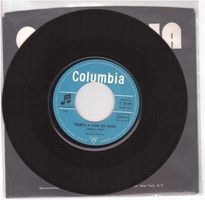 Herman`s  Hermite  --  There`a kind of hush  Single7